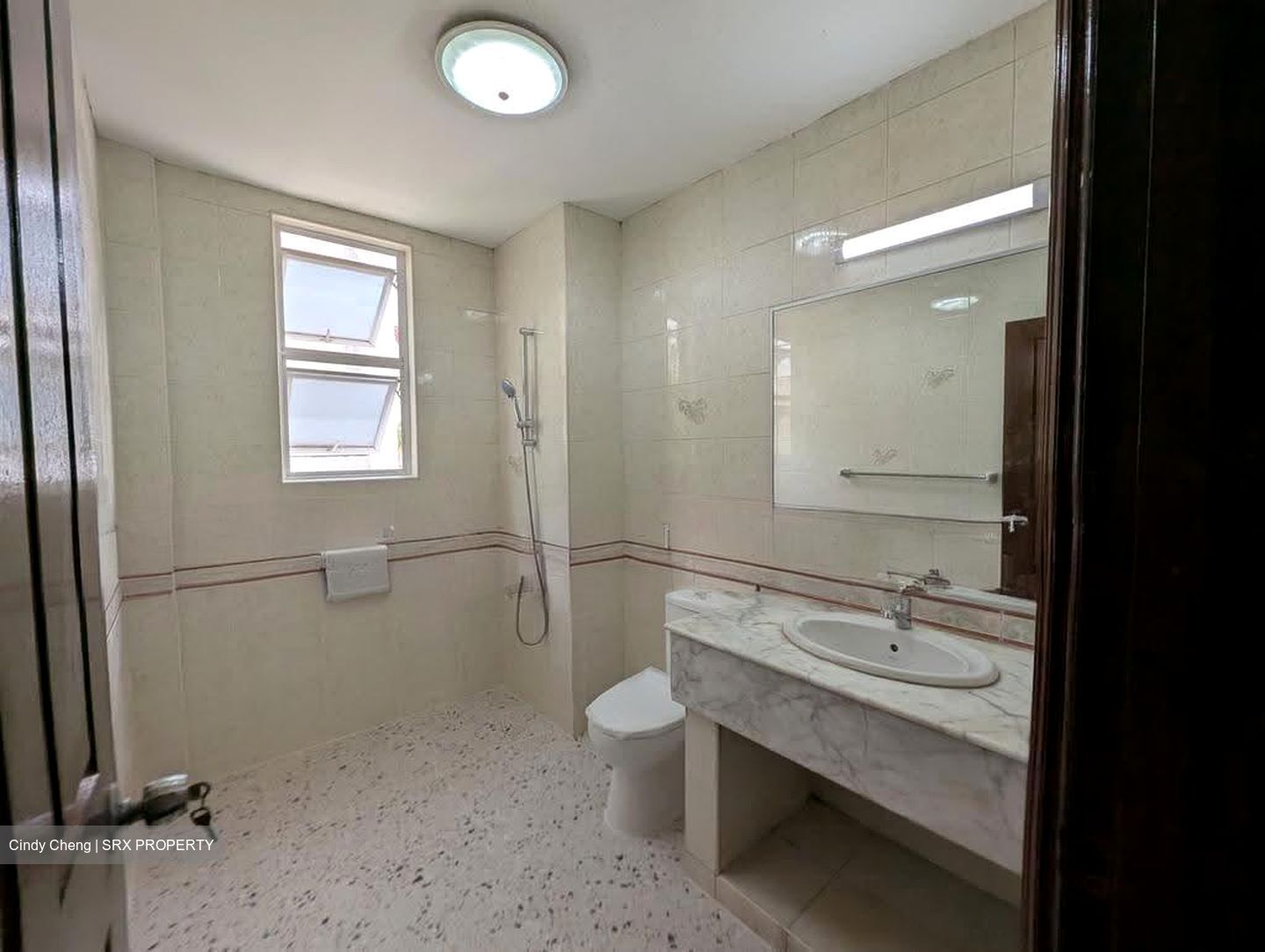 Toh Tuck Road (D21), Terrace #616565301